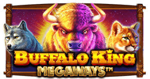 buffalo king megaways